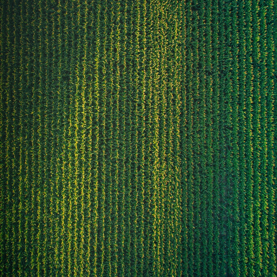 Aerial farm view used for robotics planning