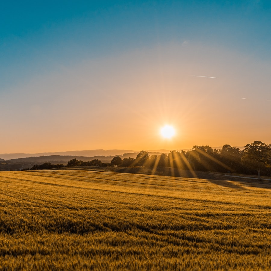 Wide agricultural field representing field autonomy